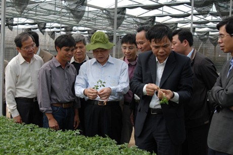 ເລິມດົ່ງພັດທະນາຢ່າງໝັ້ນຄົງດ້ວຍການນຳໃຊ້ເຕັກໂນໂລຢີສູງໃນການຜະລິດກະສີກຳ